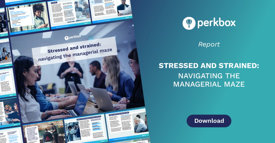 Stressed and Strained Navigating the Managerial Maze Ebook